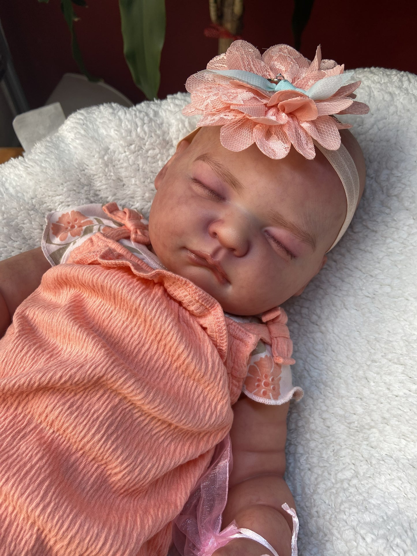 Sofia Reborn 3 Meses