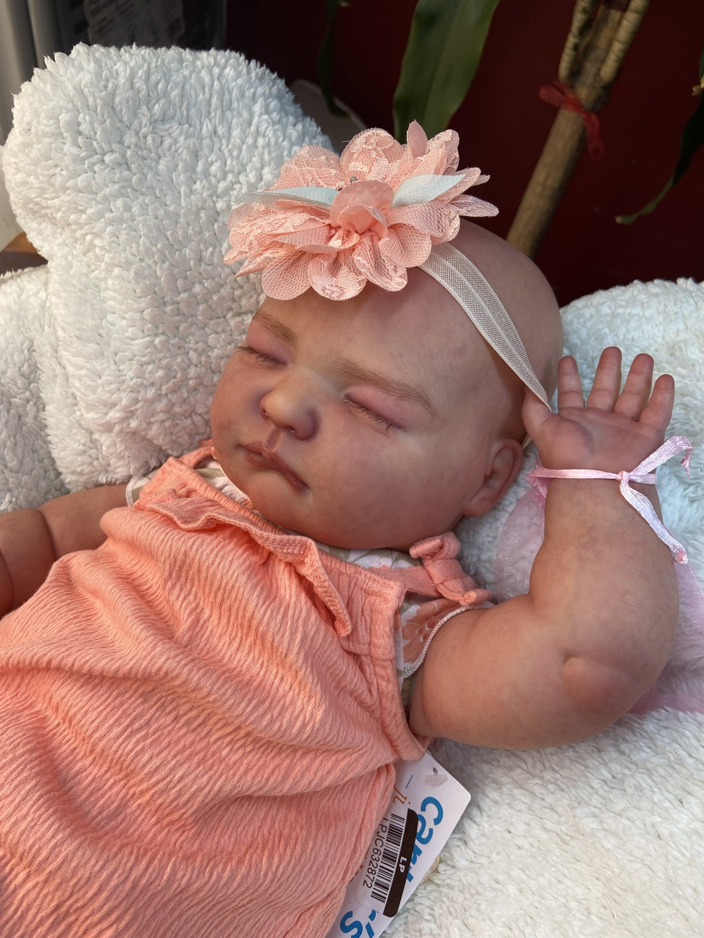 Sofia Reborn 3 Meses