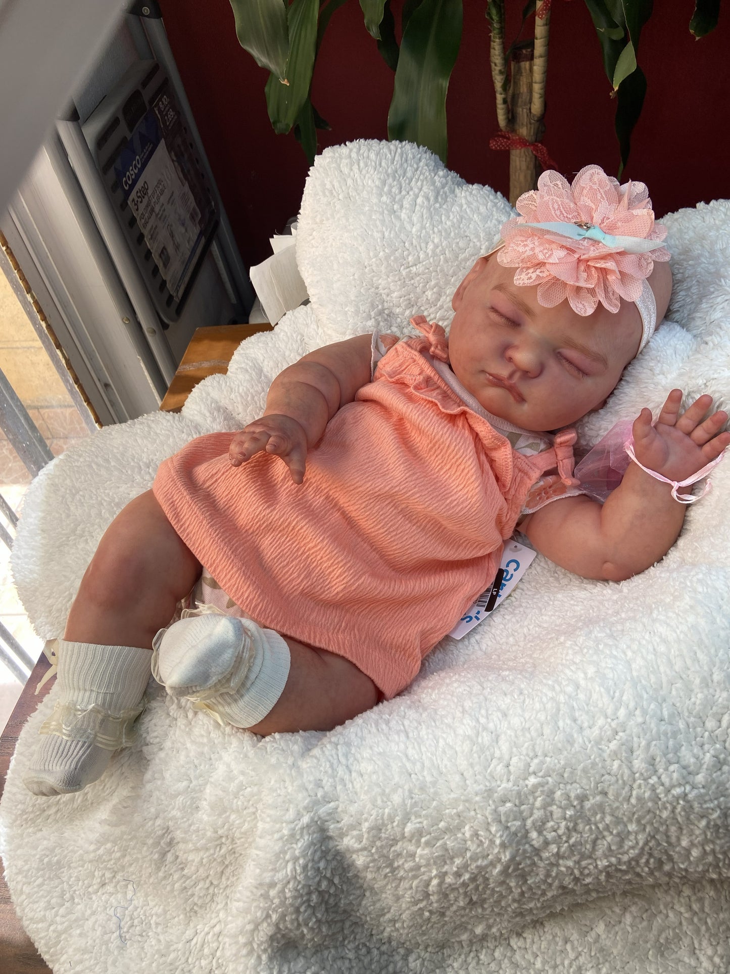 Sofia Reborn 3 Meses