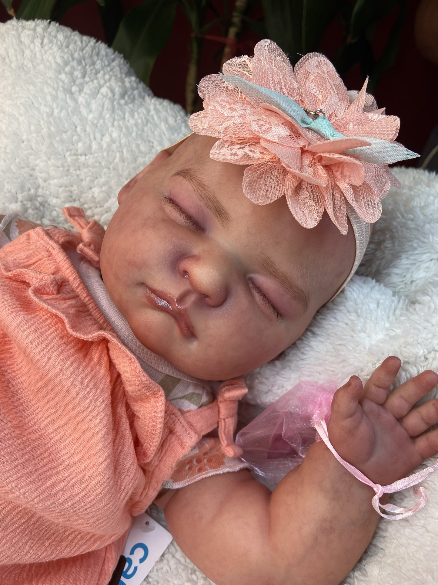 Sofia Reborn 3 Meses