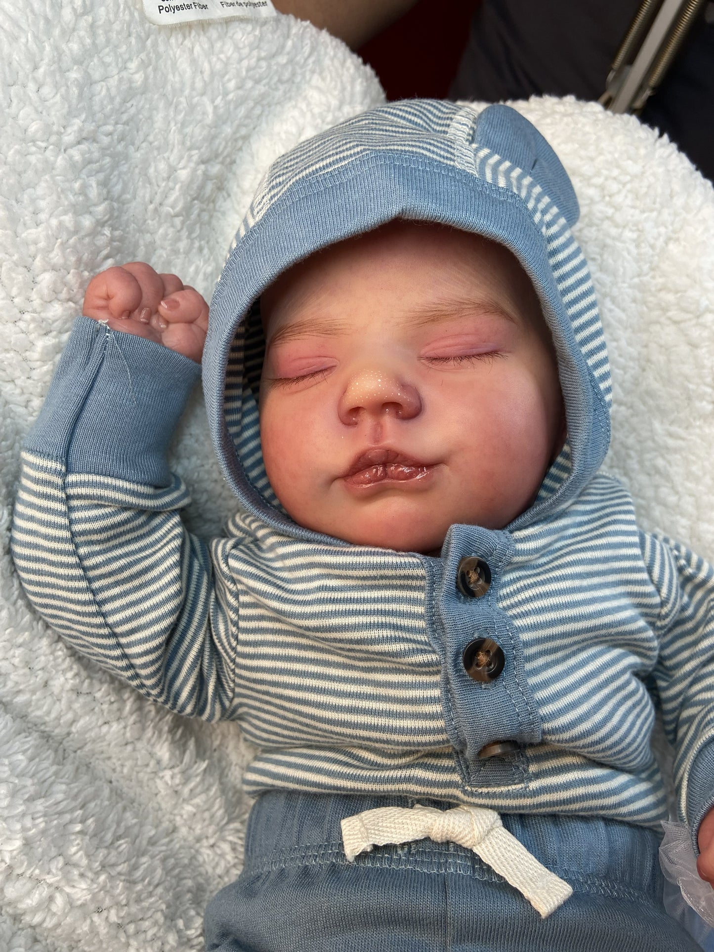 Gael: El Pequeño Osito en Calma