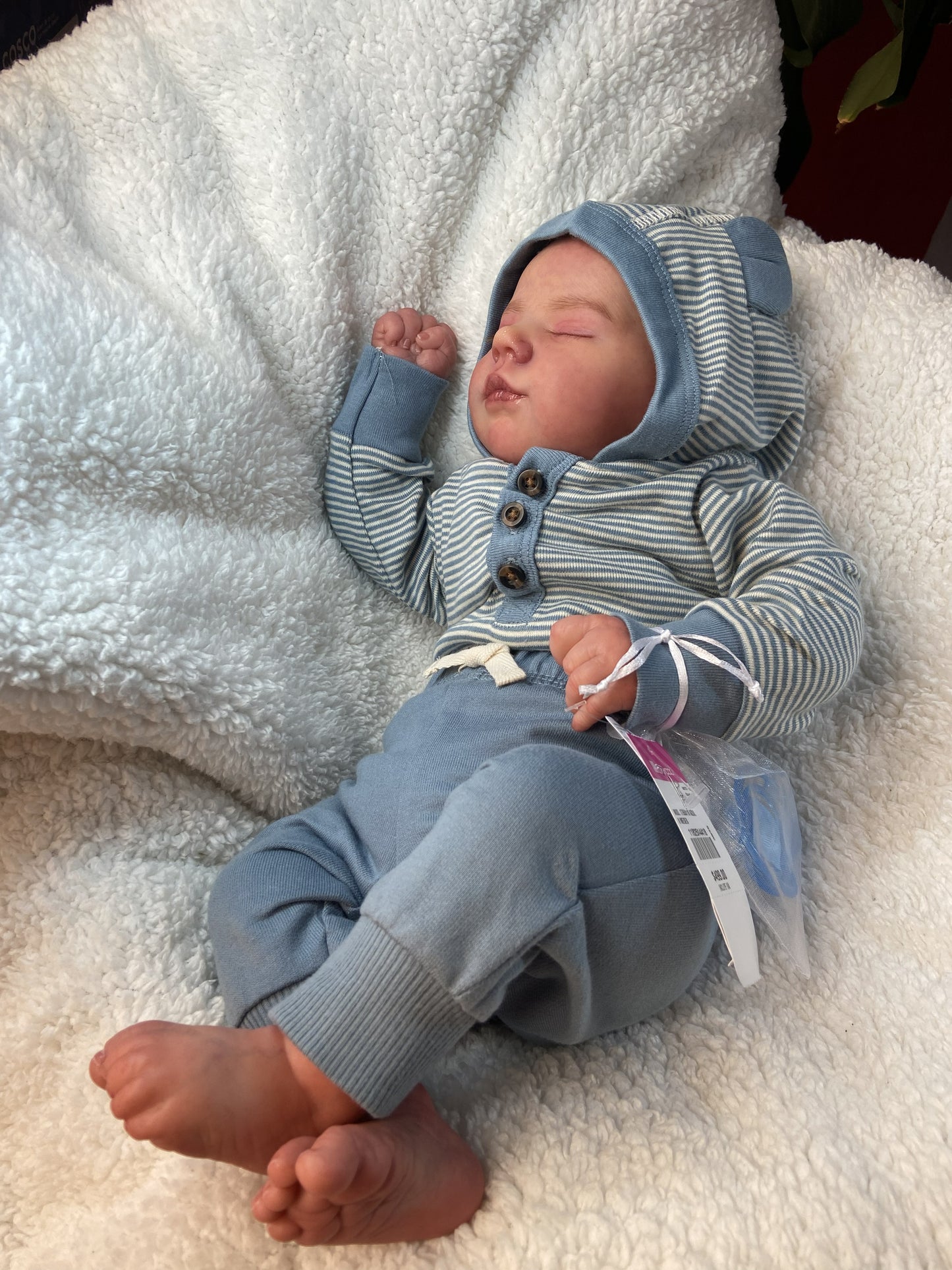Gael: El Pequeño Osito en Calma