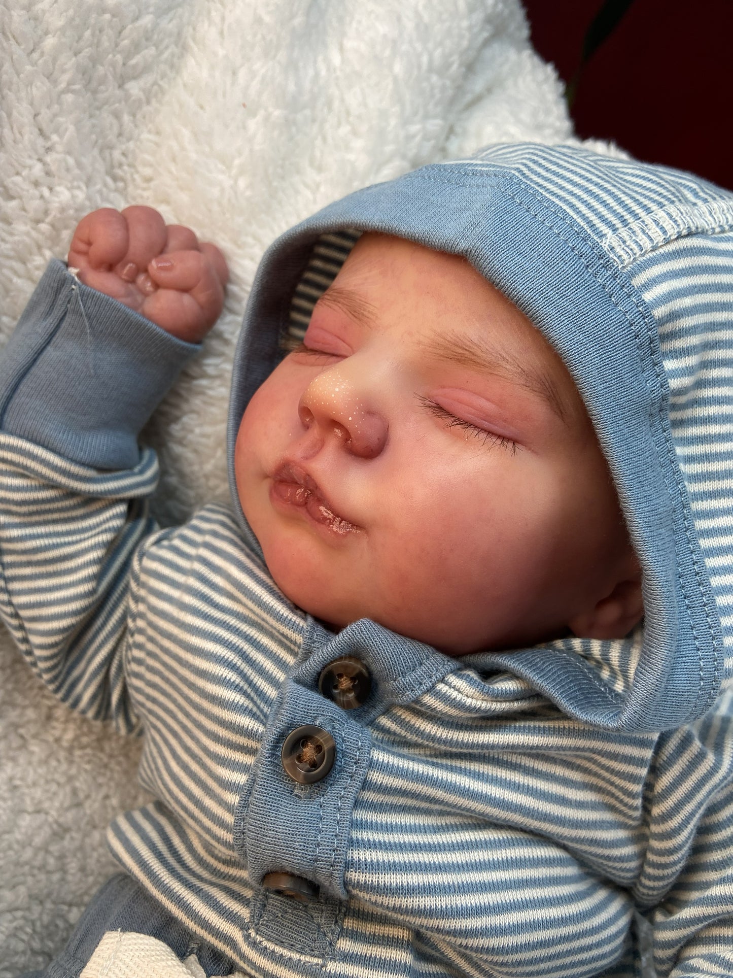 Gael: El Pequeño Osito en Calma