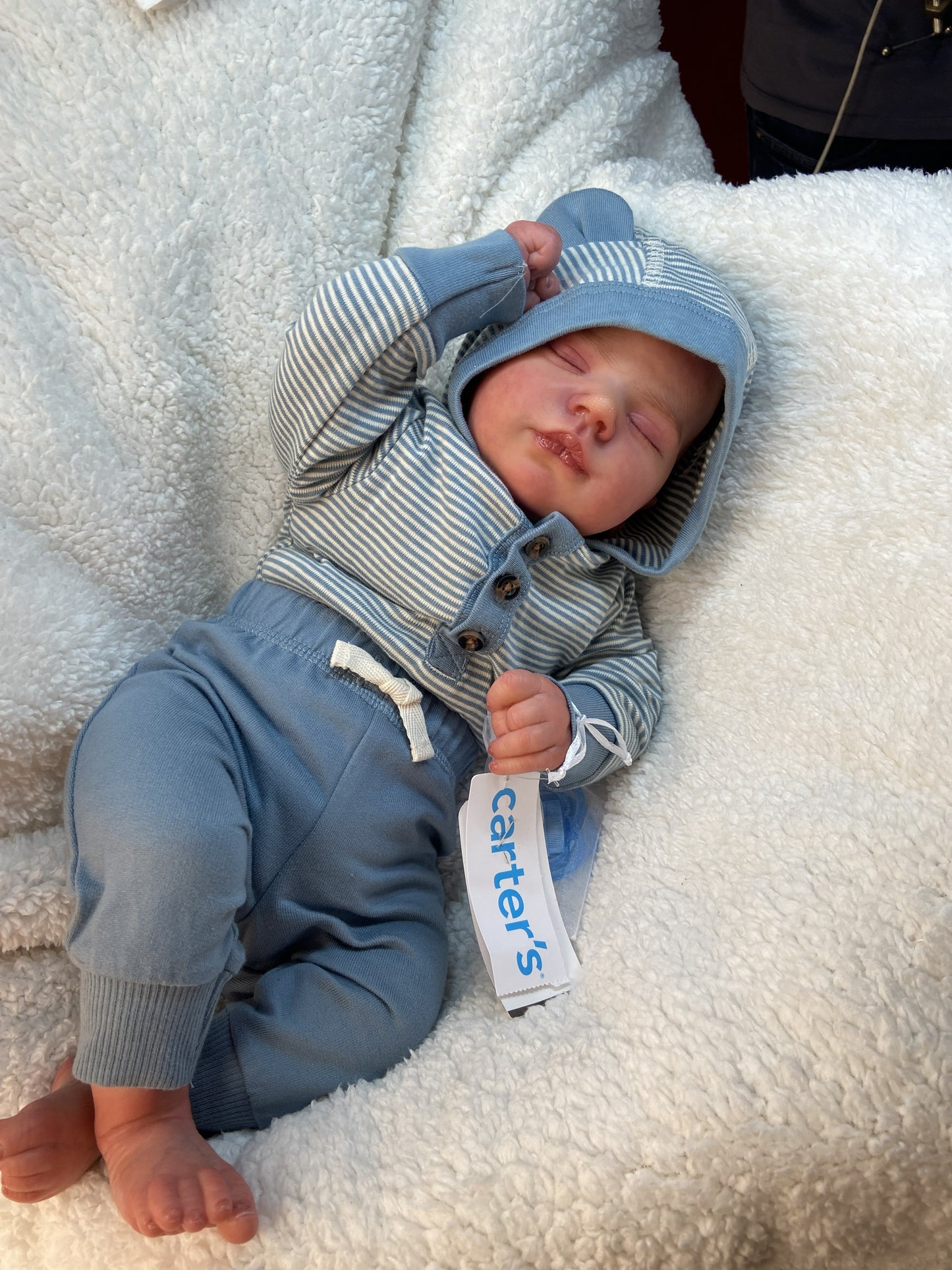Gael: El Pequeño Osito en Calma