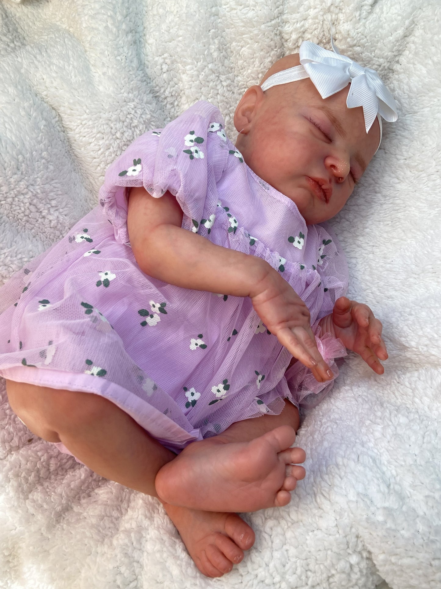 Valeria: Sueños de Lavanda y Flores