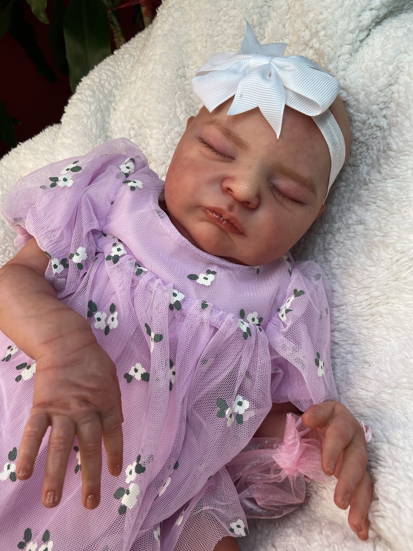 Valeria: Sueños de Lavanda y Flores